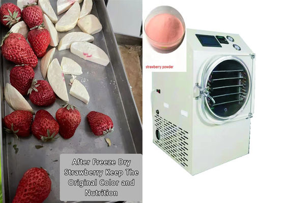 PLC controlado alimentos secador de congelação caseiro 6Kg 10Kg tamanho médio
