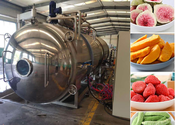 Máquina de secagem por congelamento a vácuo de alimentos médios 100 kg/lote
