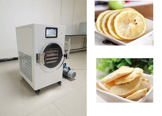 Preservação de alimentos em casa congelador secador investimento inteligente