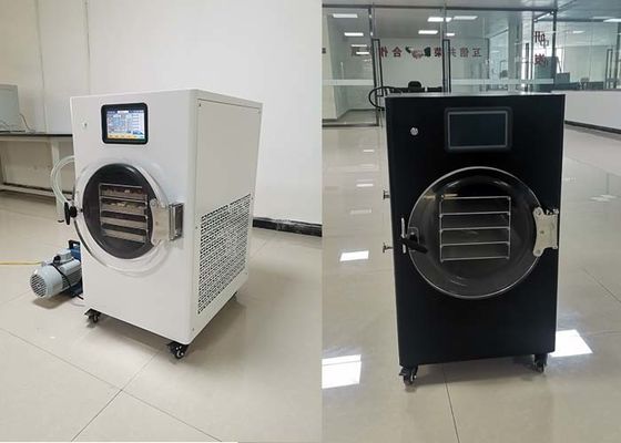 Preserva os teus alimentos com um secador de congelação caseiro de 1600W no mercado