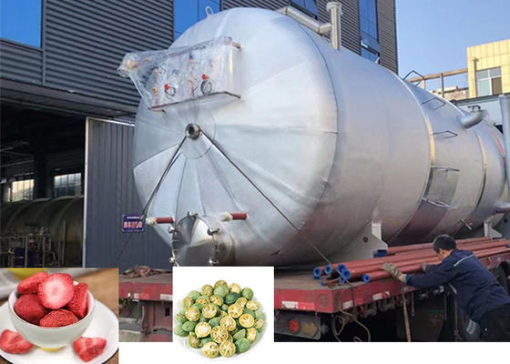 Máquina de secagem por congelamento industrial grande 300Kg 500Kg 1000Kg