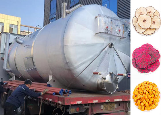 Máquina de secagem por congelamento industrial de alimentos 220V/380V/3PH