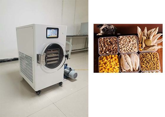 Preserve alimentos com confiança usando um freezer caseiro
