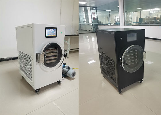 Secador de congelação doméstico controlado por PLC A solução perfeita para a conservação conveniente de alimentos