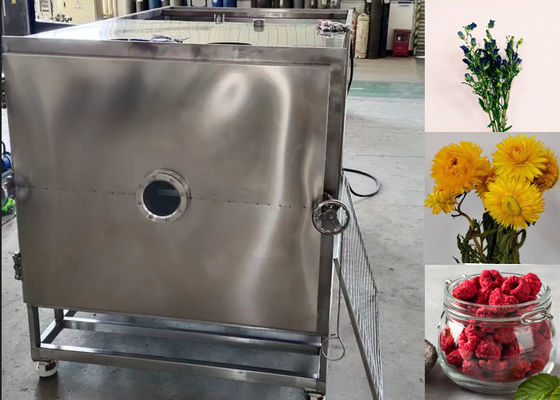 100 kg 200 kg Secador a vácuo e congelador de alimentos Equipamento de secagem industrial