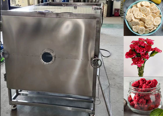 Máquina de secagem por congelamento a vácuo de alimentos de grande porte Equipamento de liofilização