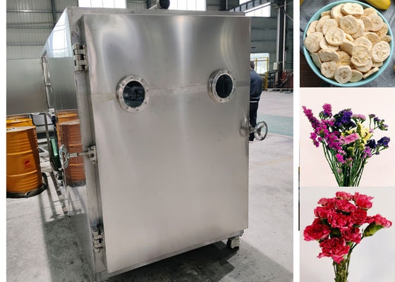 Máquina de secagem por congelamento a vácuo de alimentos eficiente com sistema Leybold