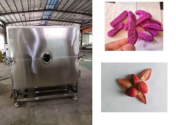 Secador de vegetais automático de alto desempenho para resultados de secagem superiores