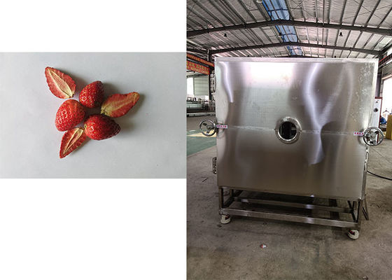 Sistema de refrigeração Leybold Máquina de secagem por congelamento a vácuo de alimentos Confiável