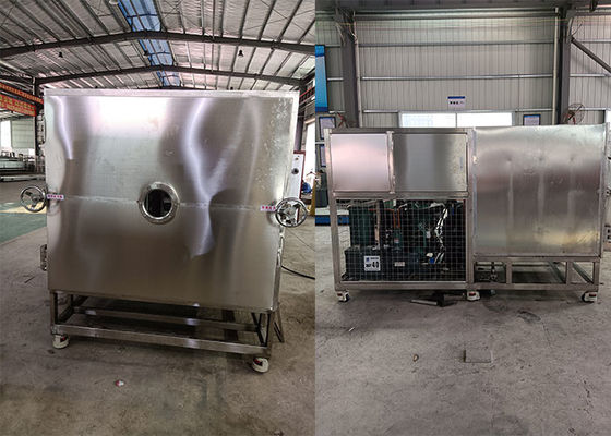 Advanced Customizable Food Vacuum Freeze Dryer Amigável ao usuário