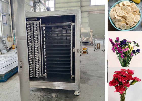 100kg 200Kg Alimentos industriais Vegetais Secador de congelamento Máquina Equipamento versátil