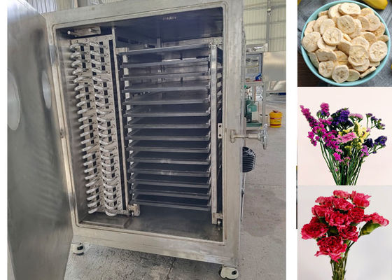 18-22 horas/lotação Secagem por congelamento automática Secador de vegetais por congelamento grau profissional