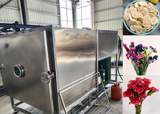 Secador de vegetais personalizado com modo de operação automático