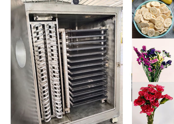 Máquina de secagem industrial por congelamento a vácuo para retenção de maxi nutrientes