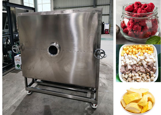 100 kg/lotação Máquina de congelação de frutas secas Equipamento liofilizador