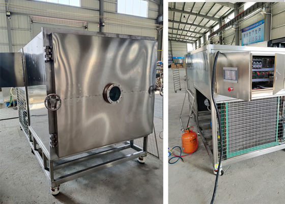 50kg100Kg Máquina de secagem a vácuo Liofilante de alimentos