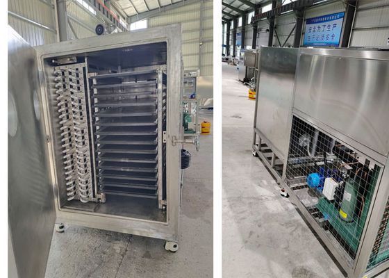 50kg 100Kg 200Kg Capacidade Liofilizador Secador congelador Máquina de vácuo