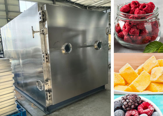 Máquina de secagem por congelamento a vácuo controlada por PLC Liofilante Secador 200Kg