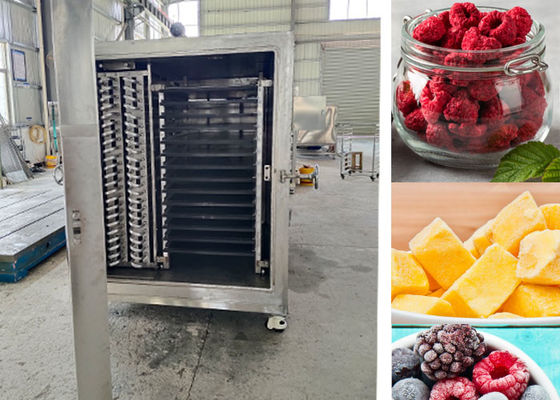 Máquina de secagem por congelamento a vácuo industrial compacta
