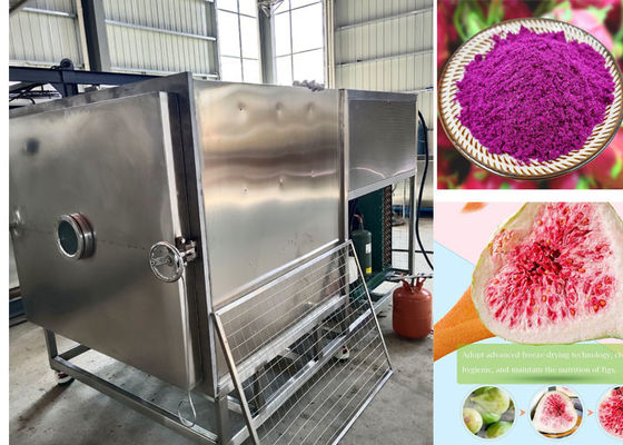100 kg / lote Stayfresh Secador de congelação com sistema de arrefecimento por ar