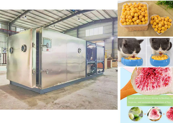 Máquina de secagem por congelamento a vácuo de design compacto Secador liofilizante