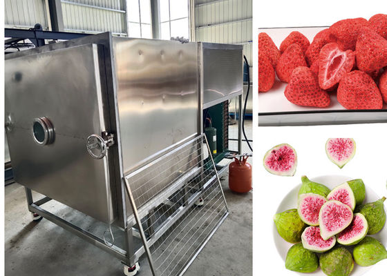 300 kg/lotação de alimentos grandes Secador a vácuo e congelador controlado por PLC