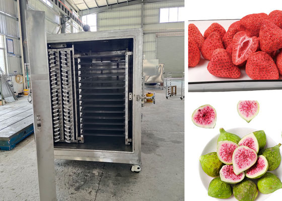 Remote Control PLC Food Vacuum Freeze Dryer para processo de secagem