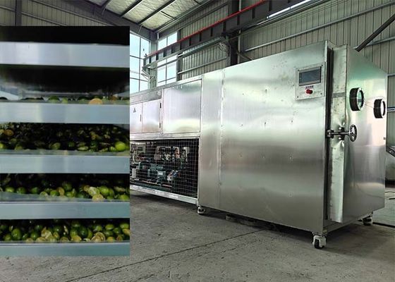Potente Bitzer / Leybold sistema de refrigeração secador de congelamento para frutas