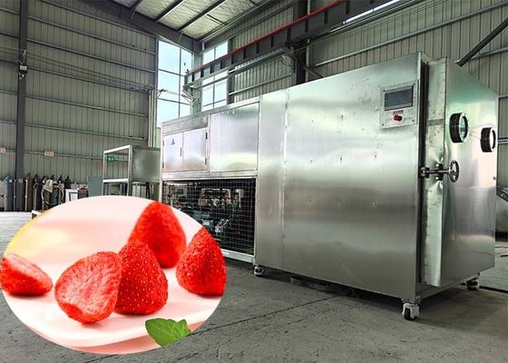 Máquina de secagem de liofilizadores para a indústria farmacêutica