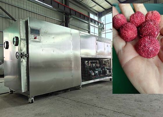 Máquina de secagem por congelamento a vácuo controlada por PLC 30-35 kg/ lote