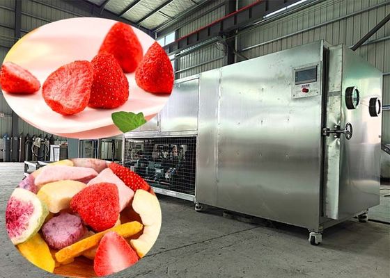 100 kg/lotação Máquina de liofilização com controlo PLC