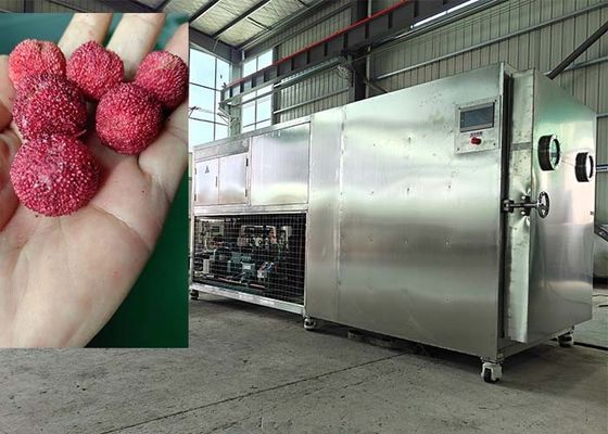 Máquina de liofilização de alimentos inteligente de 200 kg