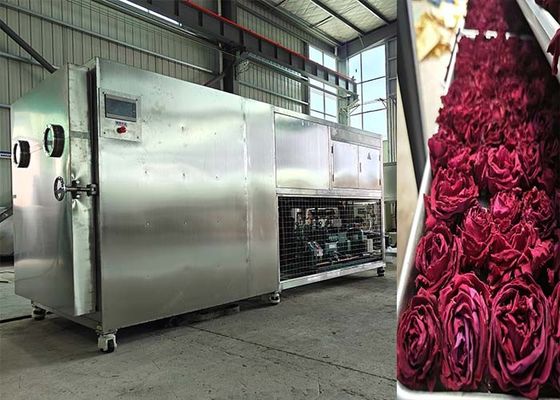 200 kg 500 kg Máquina de liofilização de grande capacidade