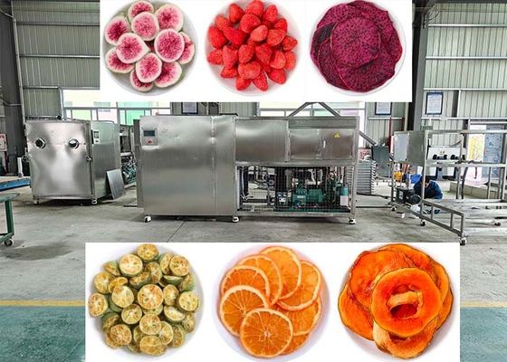 OEM / ODM Food Vacuum Freeze Dryer Experiência desempenho inigualável de liofilização