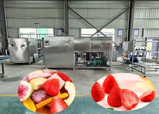 100 kg por lote Máquina de liofilização industrial com 60 dB