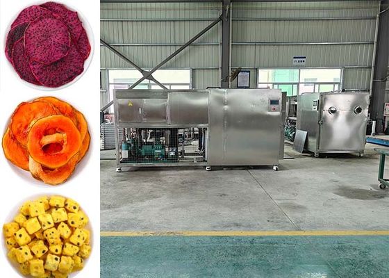 Secador a vácuo e congelador de alimentos profissional para resultados de secagem ideais
