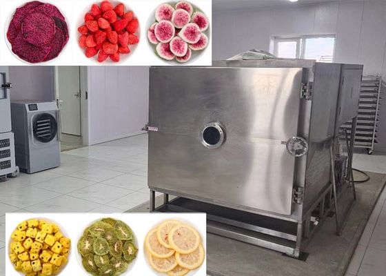 Secador de vegetais para congelamento A escolha perfeita para secar vegetais a granel