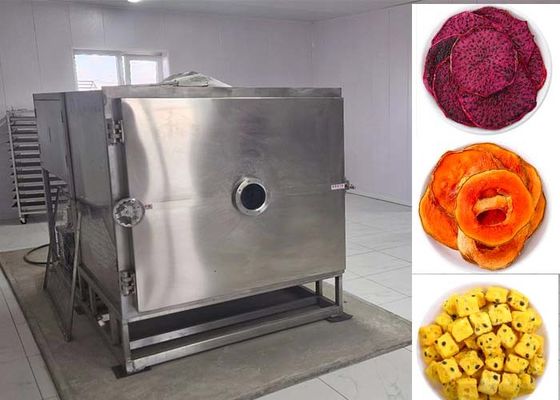 Secador de vegetais congelado O método de secagem ideal para uma variedade de vegetais