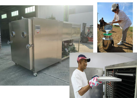 Capacidade de 100 kg/lotação Secador a vácuo de alimentos e vegetais
