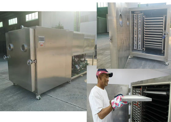 Máquina de secagem por congelamento de produtos hortícolas industriais