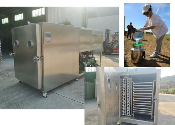 Compacto Design Alimentos Vegetais Secador de Congelamento Com Baosi Ou