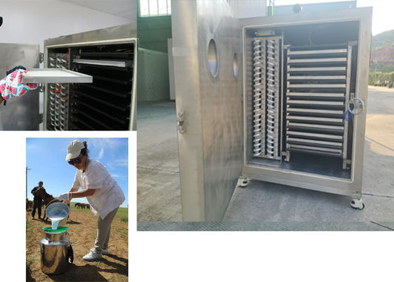 Secador de vegetais industrial com sistema de controlo PLC