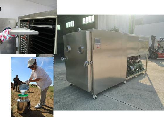 Máquina de secagem por congelamento de vegetais de 100 kg para vários tipos de vegetais