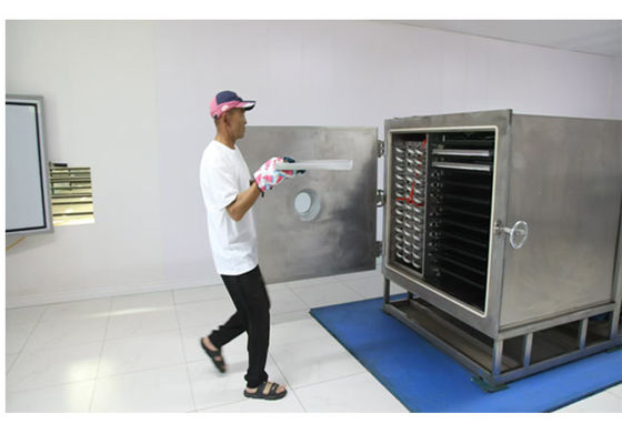 Modo de operação automático Secador congelado de vegetais de 100 kg para secagem rápida