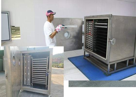 Customize secador de vegetais industriais com capacidade de 100 kg