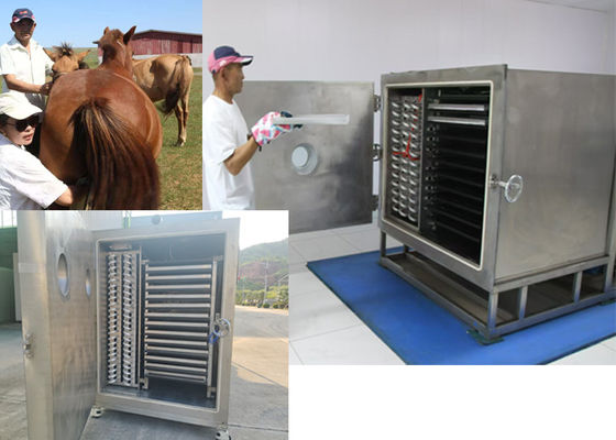 Secador de vegetais a vácuo com unidade de refrigeração Bitzer