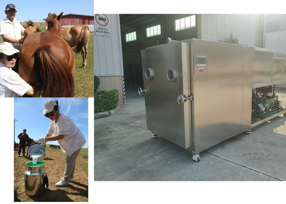Máquina de secagem por congelamento de vegetais industriais de 100 kg 10 kW/h