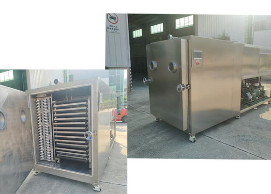 Máquina ideal de secagem a vácuo congelação de frutas secas