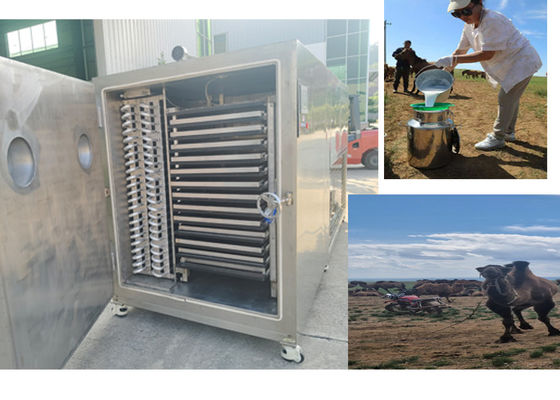 Máquina de congelação de frutas secas de design compacto com sistema de refrigeração Bitzer