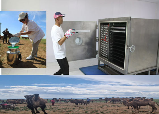 ou Leybold Compressor Máquina de congelação de frutas secas